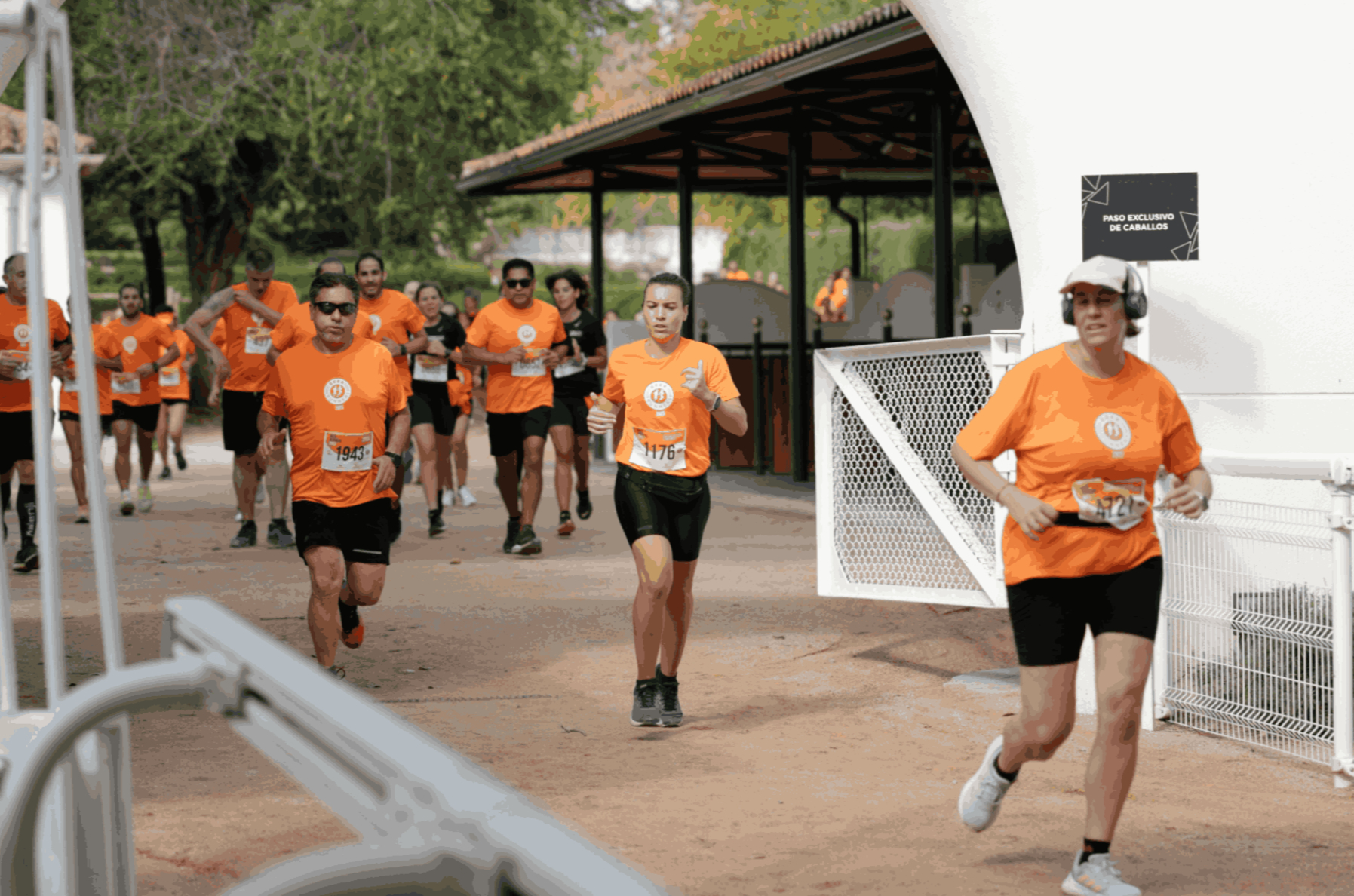 entrenamiento