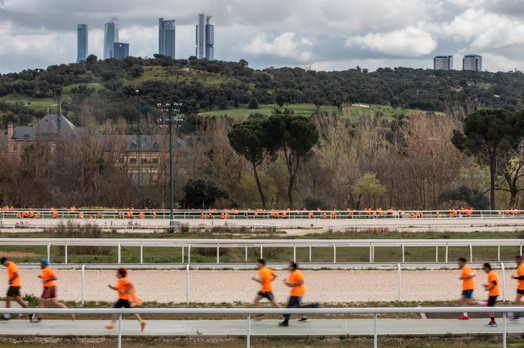 ¿Te apetece dar el salto al trail? ¿Sabes cómo?